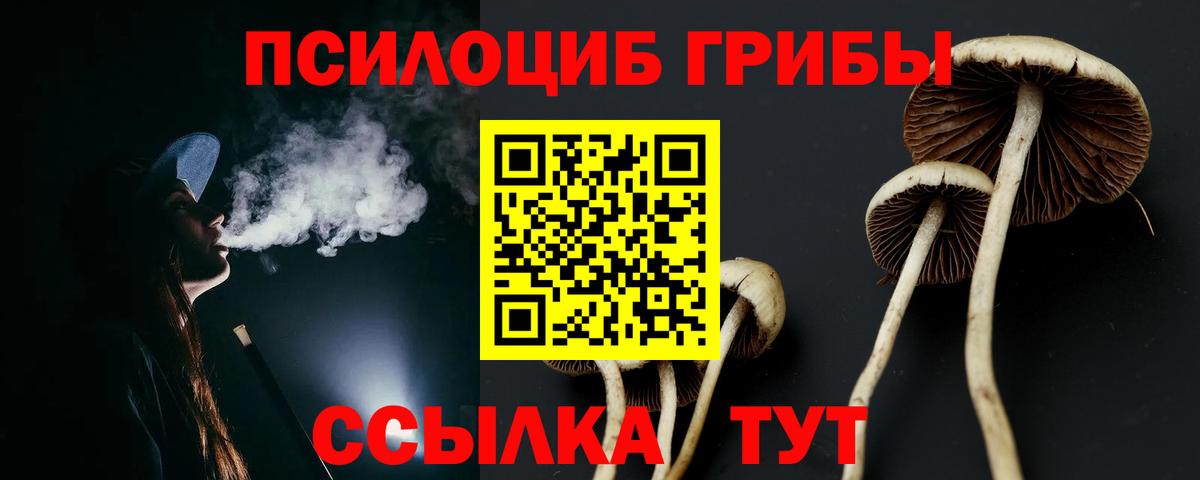 Галлюциногенные грибы Cubensis  Вход с VPN  Майский 
